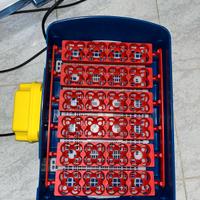 INCUBATRICE 