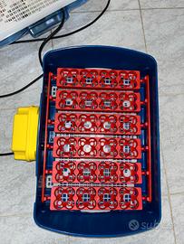 INCUBATRICE 