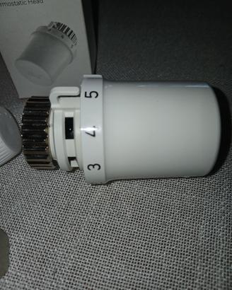 valvola termostatica 
