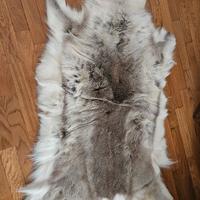 tappeto renna originale