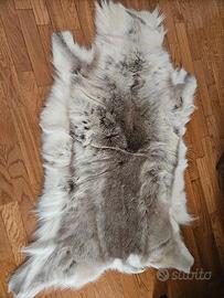 tappeto renna originale