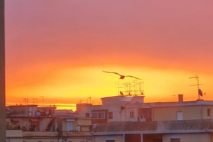 Due adulti,tre bimbi