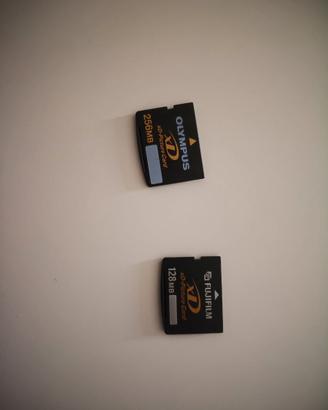Scheda  memoria XD Card Fuji e Olympus
