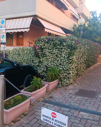 Appartamento