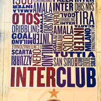 Telo in microfibra Inter