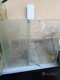 Sump acquario marino