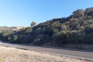 Poggio dei pini terreno panoramico 1200 mq
