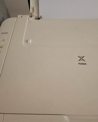 stampante wifi 