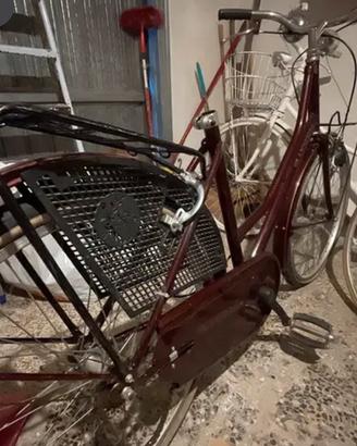 Bici Olandesina donna
