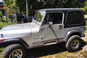 Jeep wrangler 4.2 yj