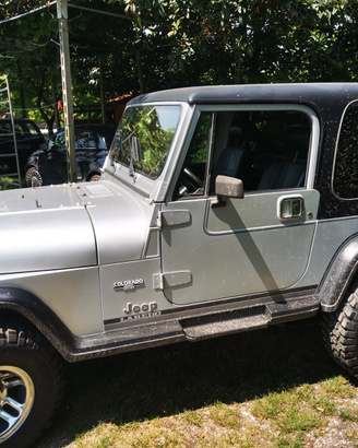 Jeep wrangler 4.2 yj