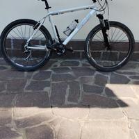 bici mountain bike 