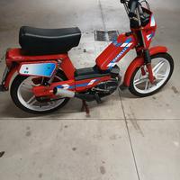garelli supervip 4
