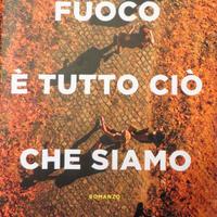 Fuoco è tutto ciò che siamo Saraceni Guido