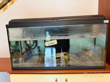 Acquario gratis 80lt