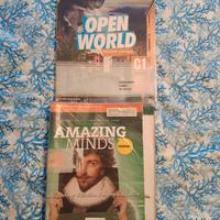 libri liceo, classe 5, inglese, storia,