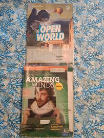 libri liceo, classe 5, inglese, storia,