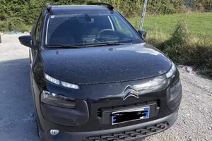 C4 cactus