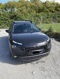 C4 cactus