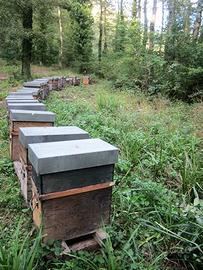 Postazione per arnie