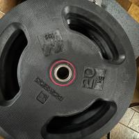 Dischi decathlon 20 kg