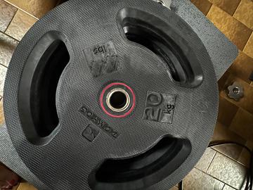 Dischi decathlon 20 kg