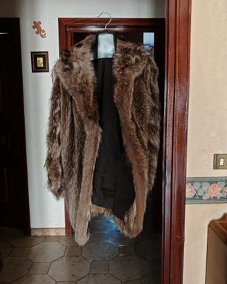 Pelliccia Marmotta Pontrelli
