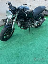 Ducati monster