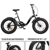 Fat bike