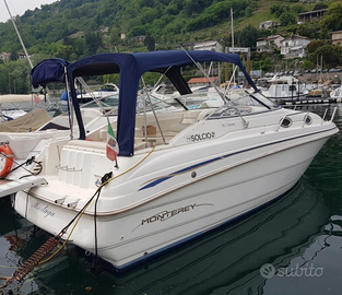 Monterey Cruiser 262