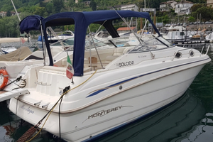 Monterey Cruiser 262