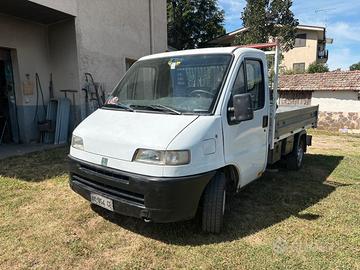 Fiat Ducato cassonato