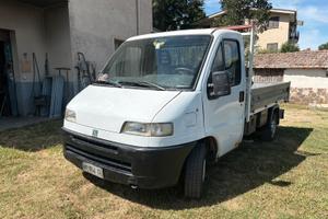 Fiat Ducato cassonato