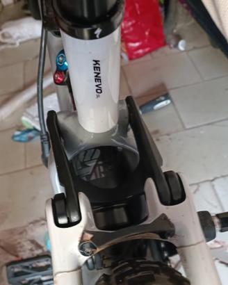 specialized turbo kenevo