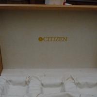 Citizen Collezione il tempo originale.