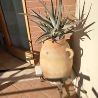 anfora marocchina in terracotta fatta a mano