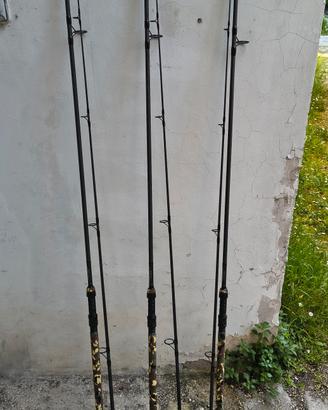 Canne Leon Hoogendijk Big Fish 10 ft 