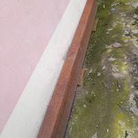 2 portrelle in ferro 