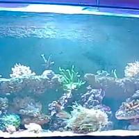  Acquario 176×60 H57