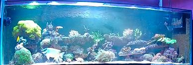  Acquario 176×60 H57