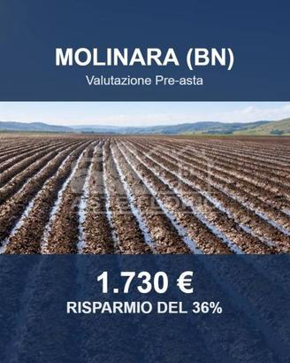 Immobile in asta di 2960 m² a Molinara