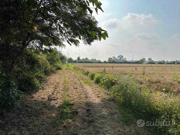 SPINEA lotto di terreno agricolo 9000mq