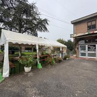 ATTIVITÀ A SANT'ILARIO D'ENZA