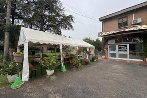 ATTIVITÀ A SANT'ILARIO D'ENZA