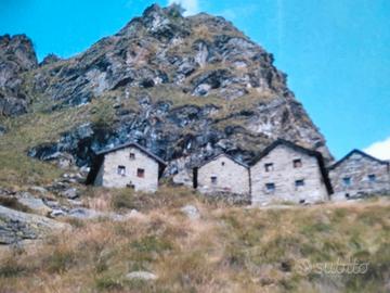 Baita