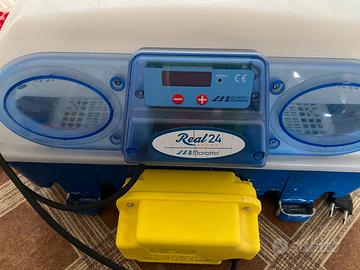 Incubatrice per uova Borotto