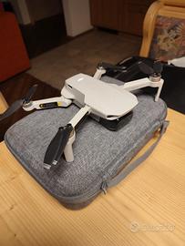 Dai Mavic mini