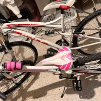 Bici da donna e bici da bimba