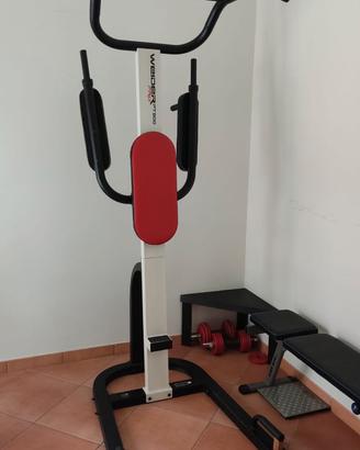 Weider Pro PT 800 - Stazione Dip e Addominali