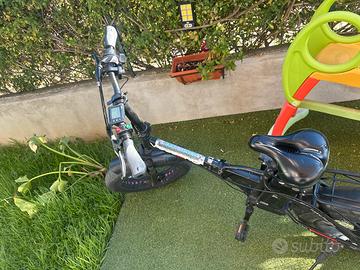 Bici elettriche
